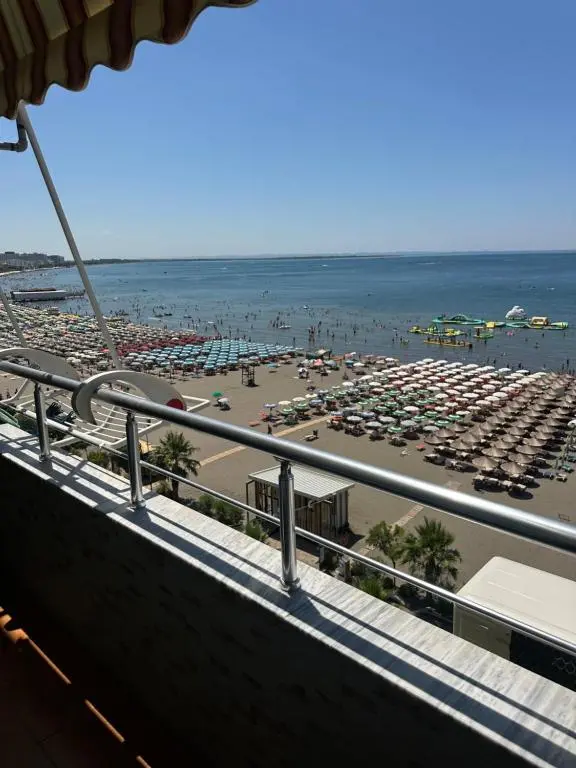 img_id_1653079.webp