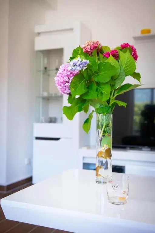 img_id_2417159.webp