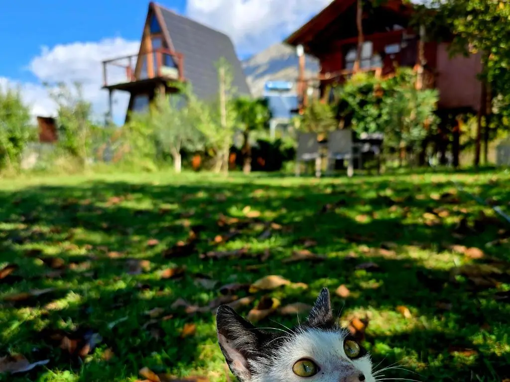 img_id_1075308.webp