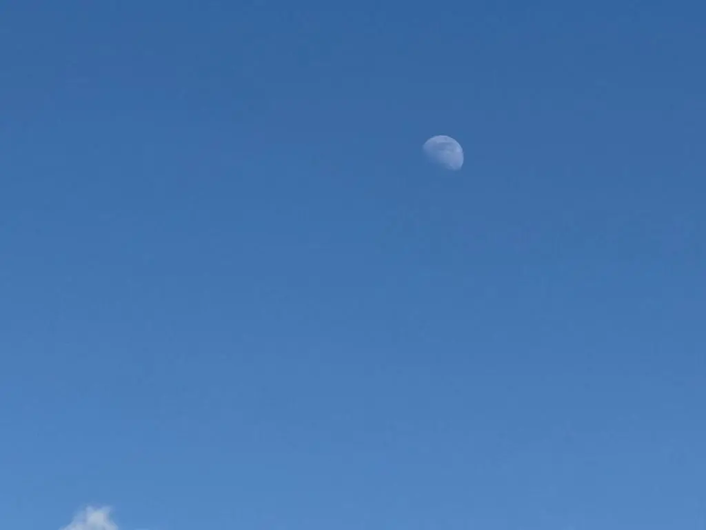 img_id_1715911.webp