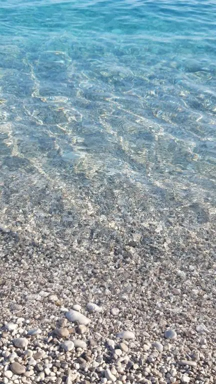 img_id_963657.webp