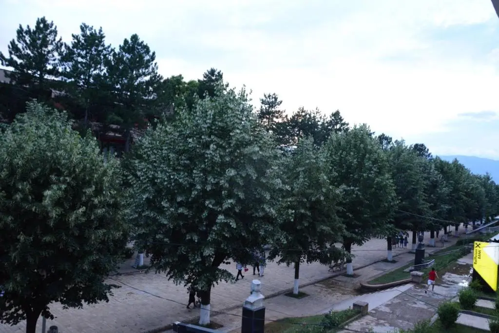 img_id_978298.webp