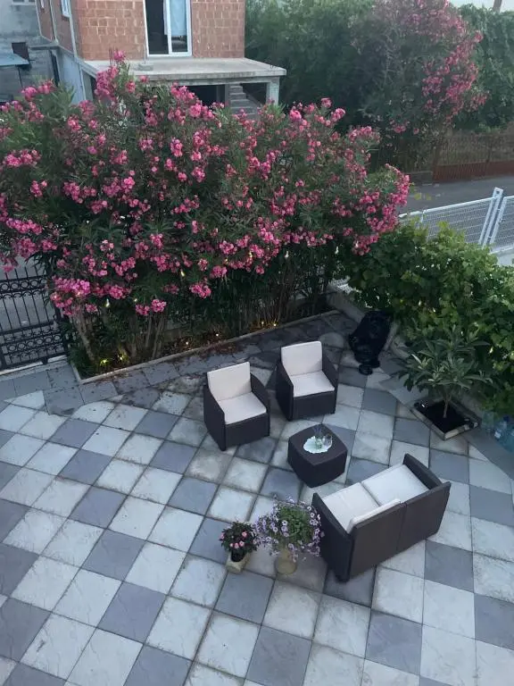img_id_2415463.webp