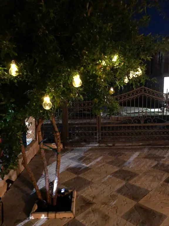 img_id_2415466.webp