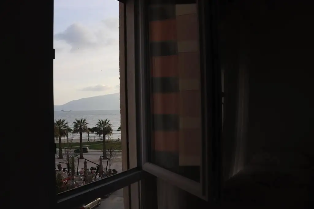 img_id_626574.webp
