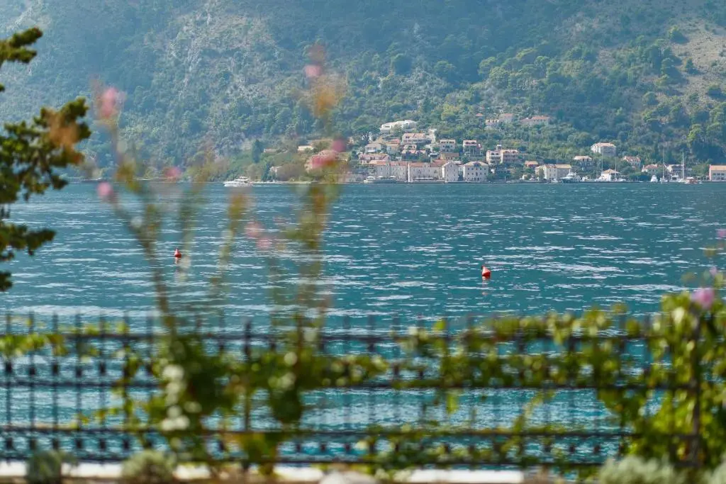 img_id_2414741.webp