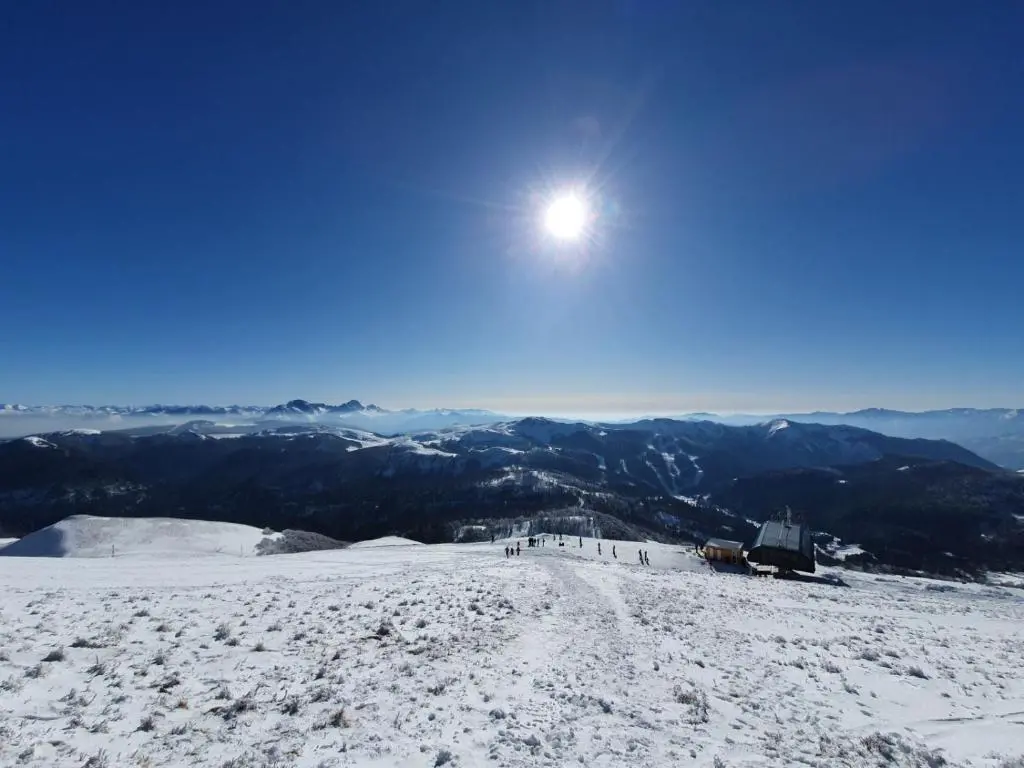 img_id_2413415.webp
