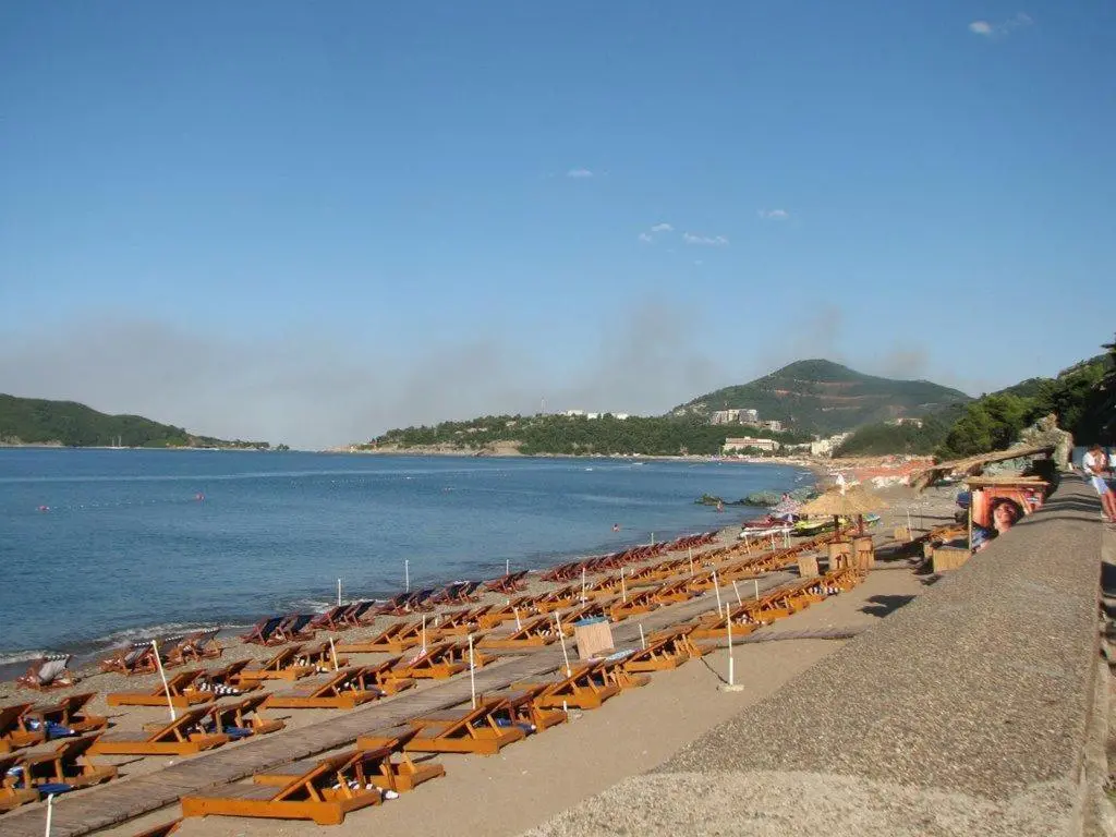 img_id_2412897.webp