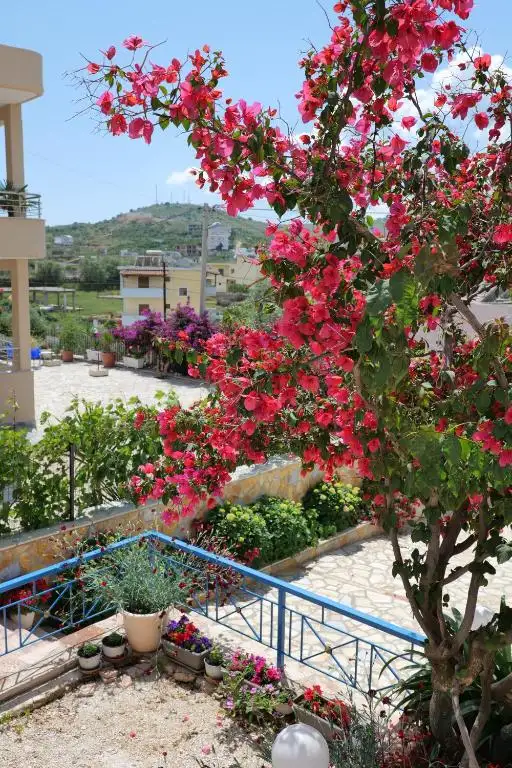 img_id_600829.webp