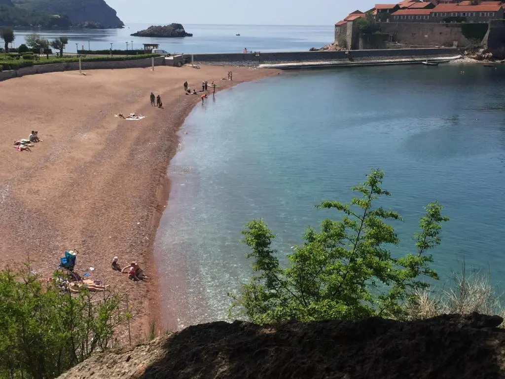 img_id_2412367.webp