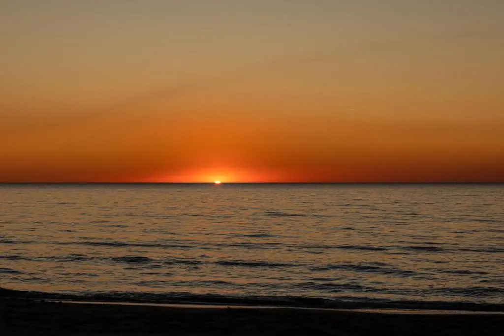 img_id_1448613.webp