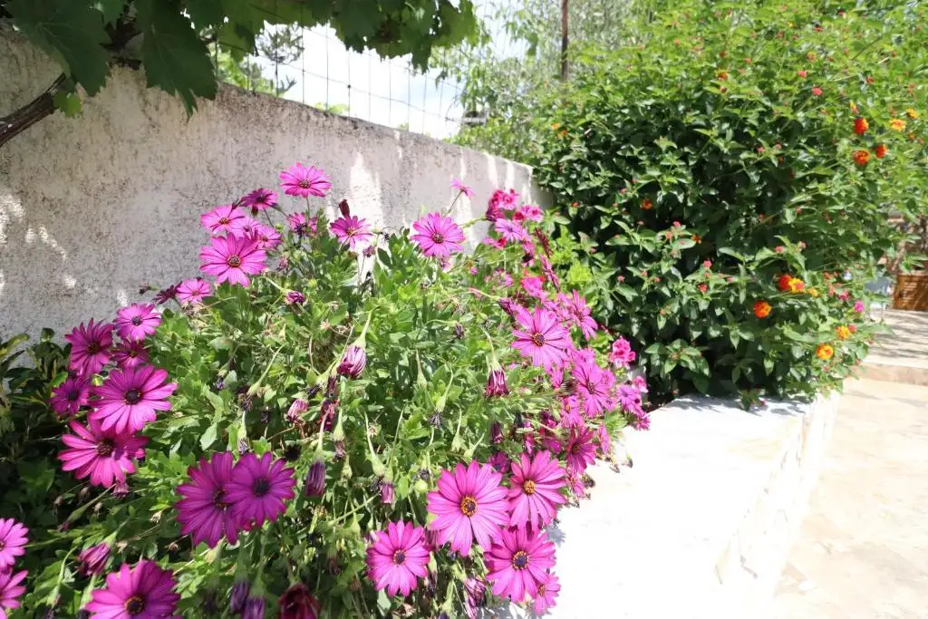 img_id_603521.webp