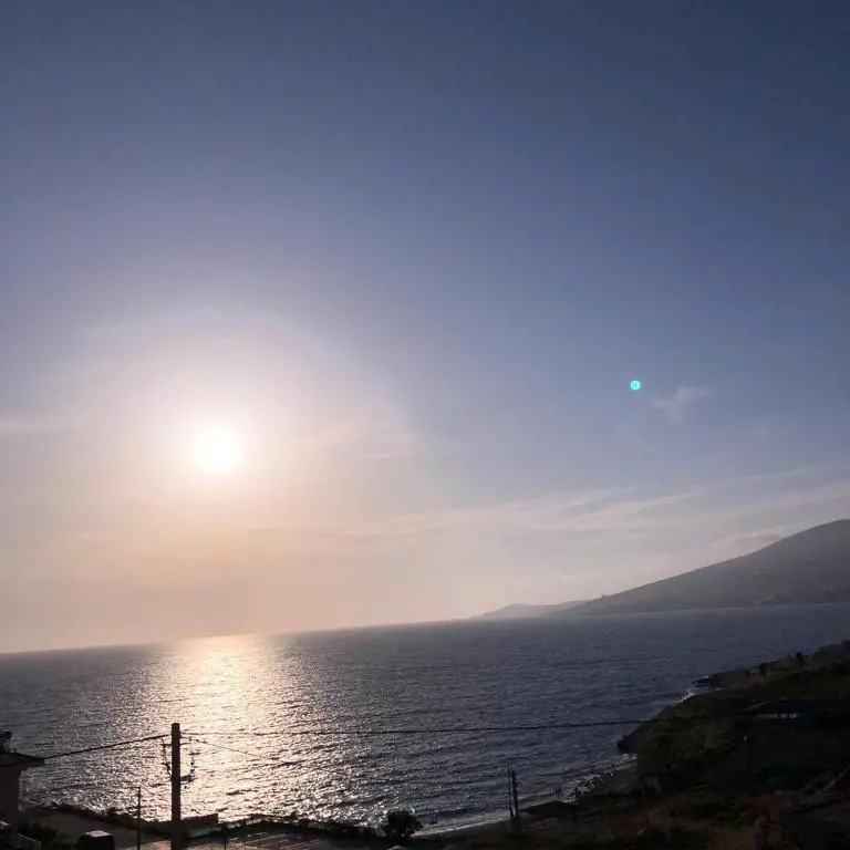 img_id_1027354.webp