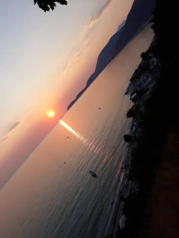 img_id_605379.webp