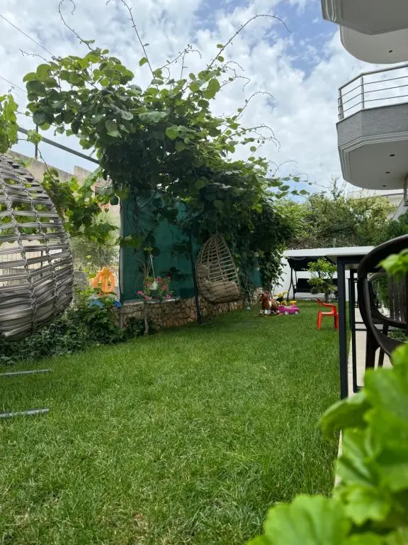 img_id_1025578.webp