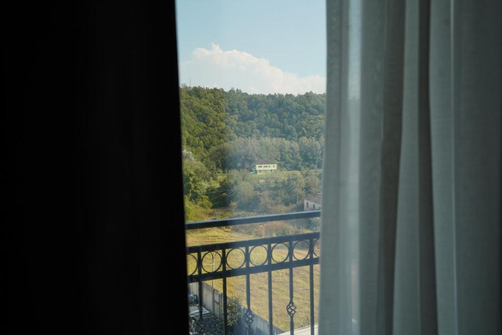 img_id_1023375.jpg