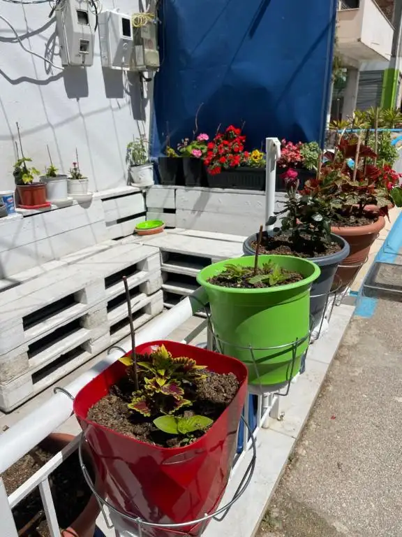 img_id_619686.webp