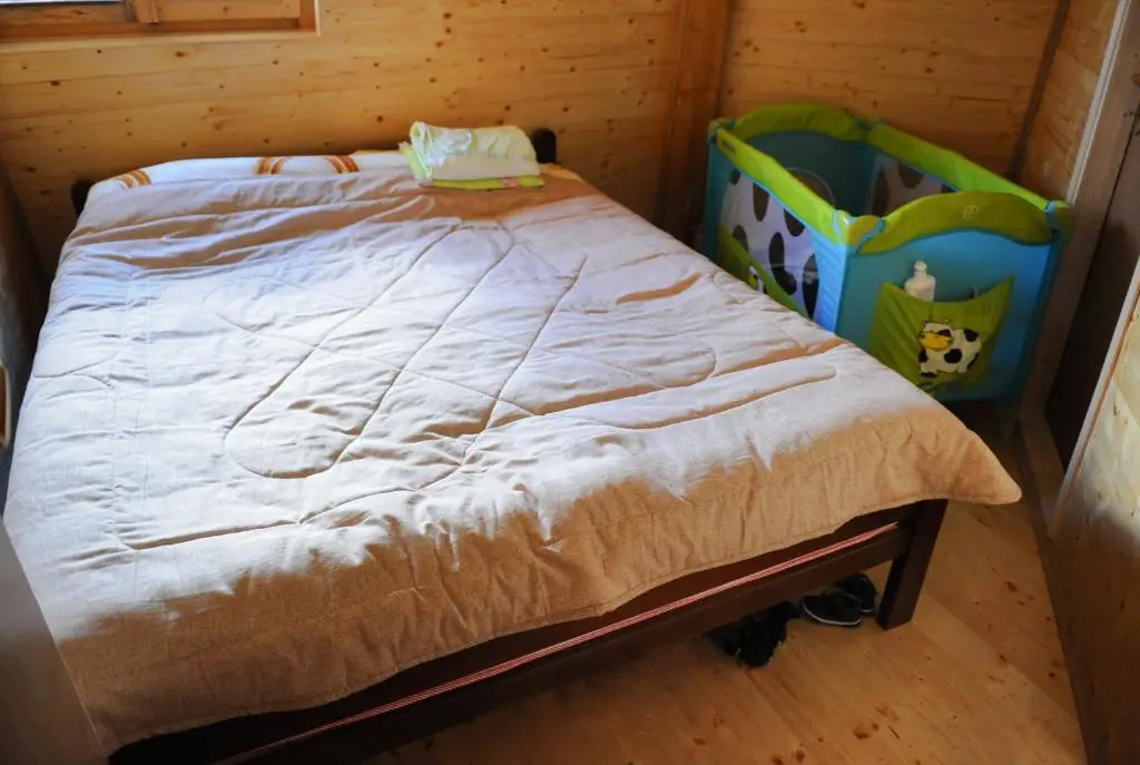 img_id_2409876.webp