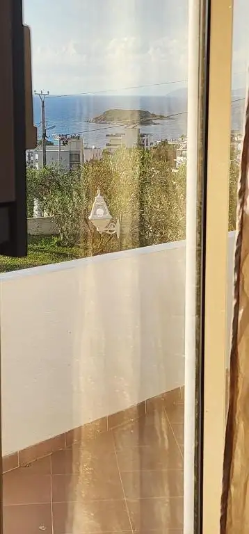 img_id_487182.webp