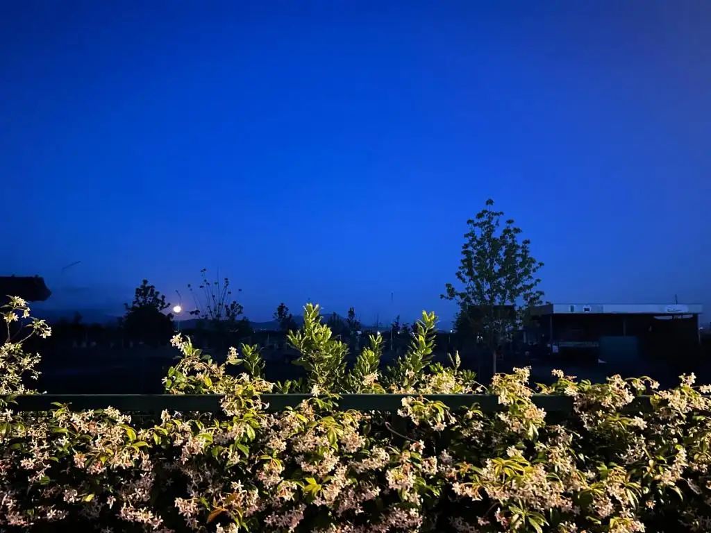 img_id_621648.webp
