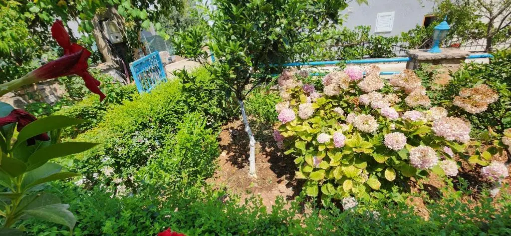 img_id_904313.webp