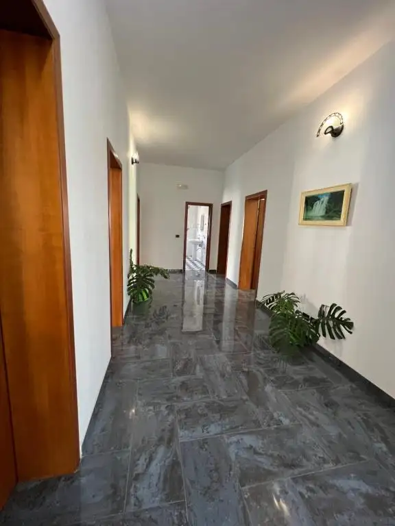 img_id_512752.webp