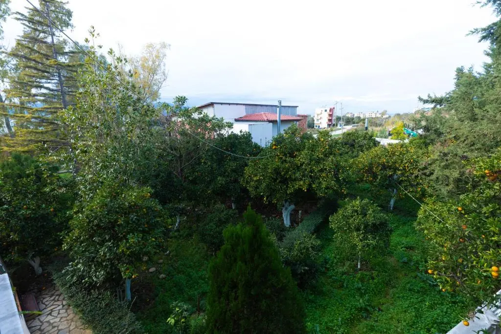 img_id_903860.webp