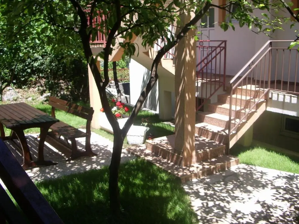 img_id_2408110.webp
