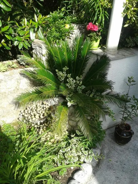 img_id_2407514.webp
