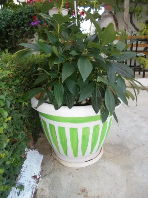 img_id_624597.webp