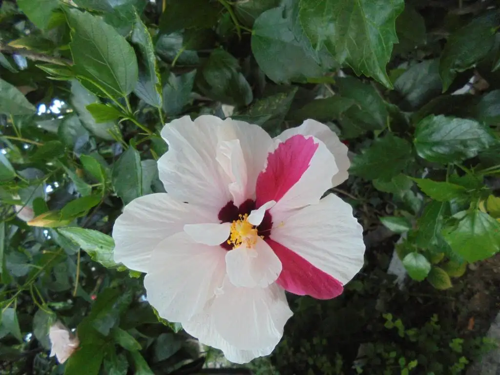 img_id_624601.webp