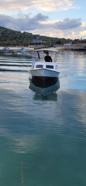 img_id_902863.jpg