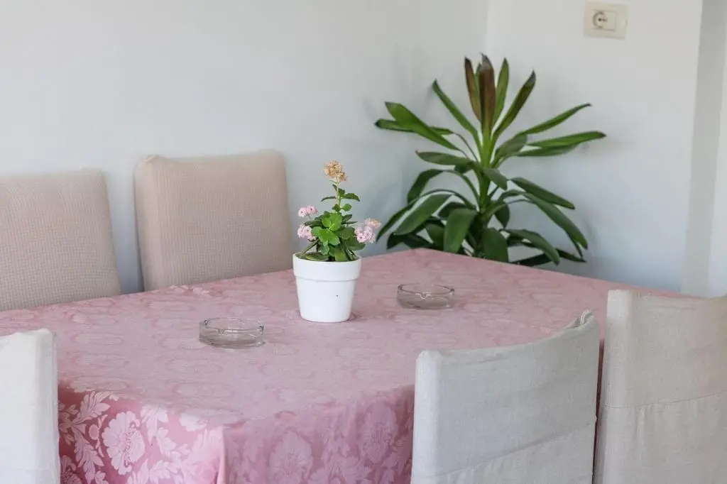 img_id_902902.webp