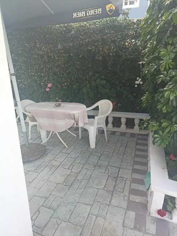 img_id_902975.webp
