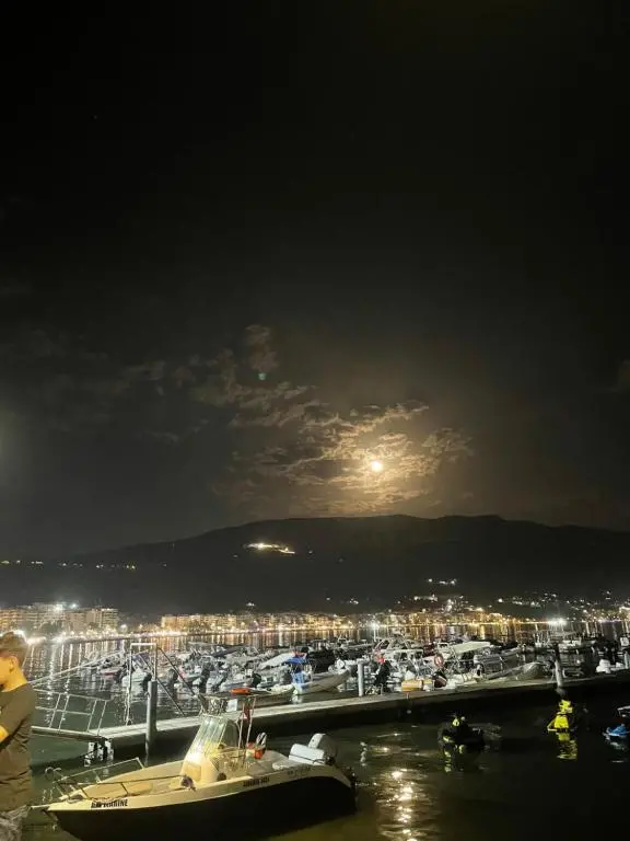 img_id_902093.webp