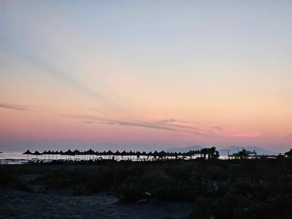 img_id_900309.webp