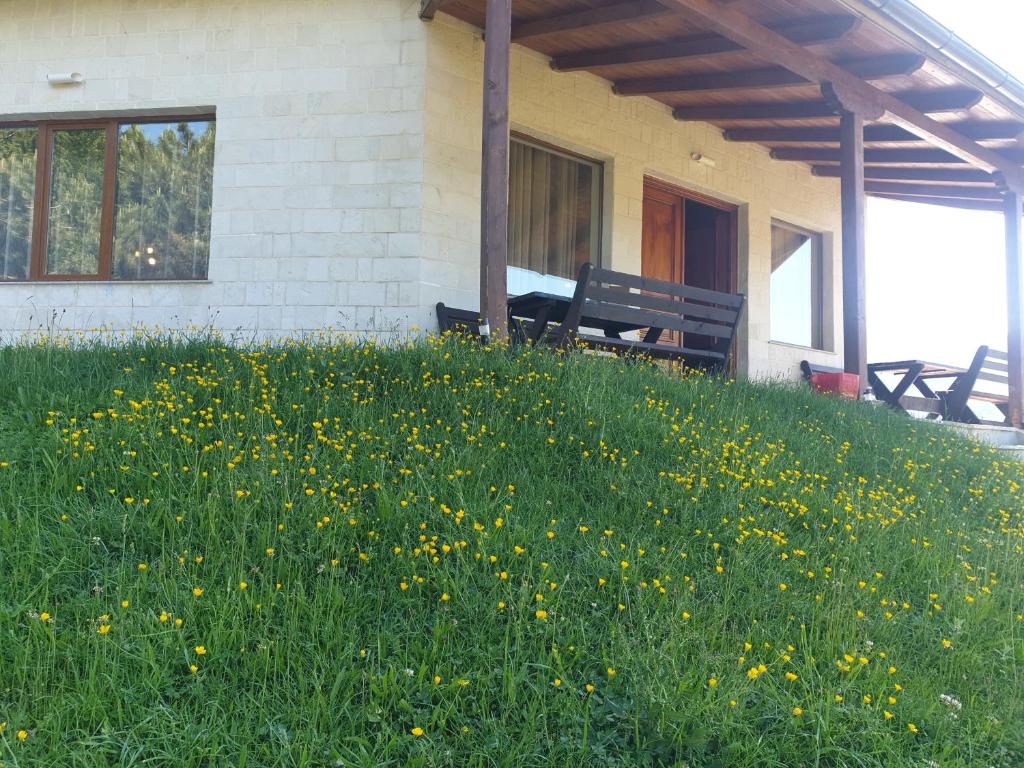 img_id_1664091.jpg
