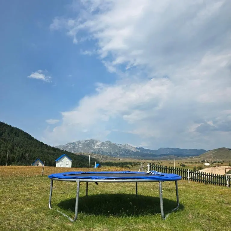 img_id_2401915.webp