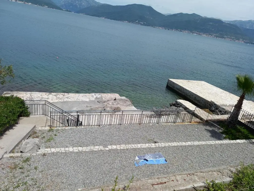 img_id_2400628.webp