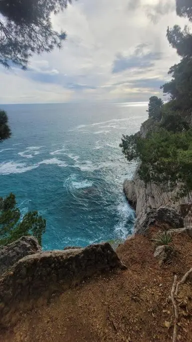 img_id_2400318.webp