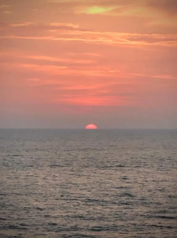 img_id_2399549.webp