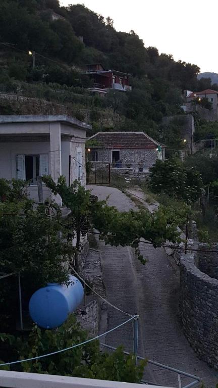 img_id_1024675.jpg