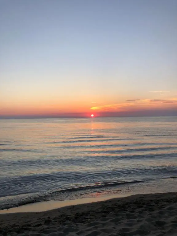 img_id_1023618.webp