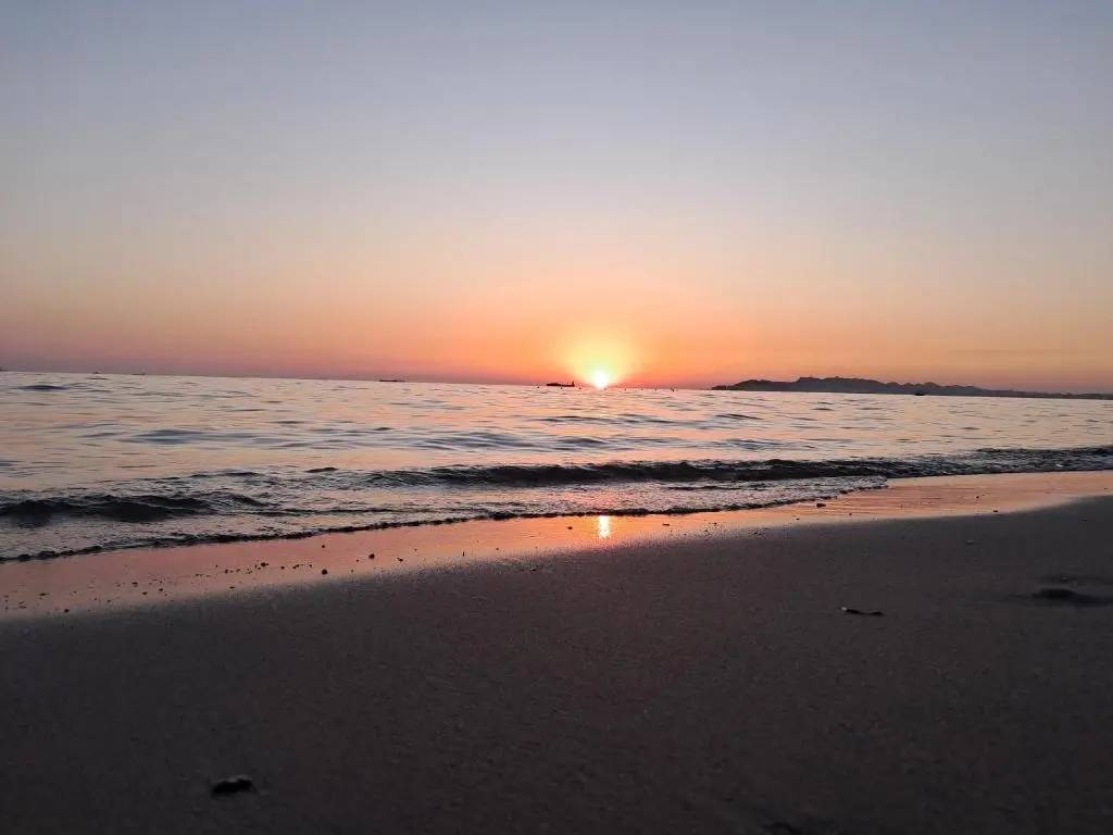 img_id_1692015.webp