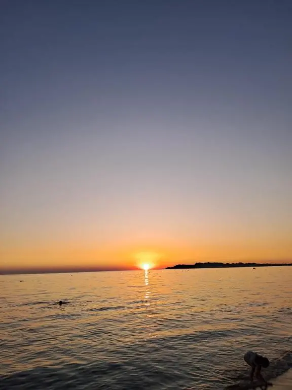 img_id_1692024.webp