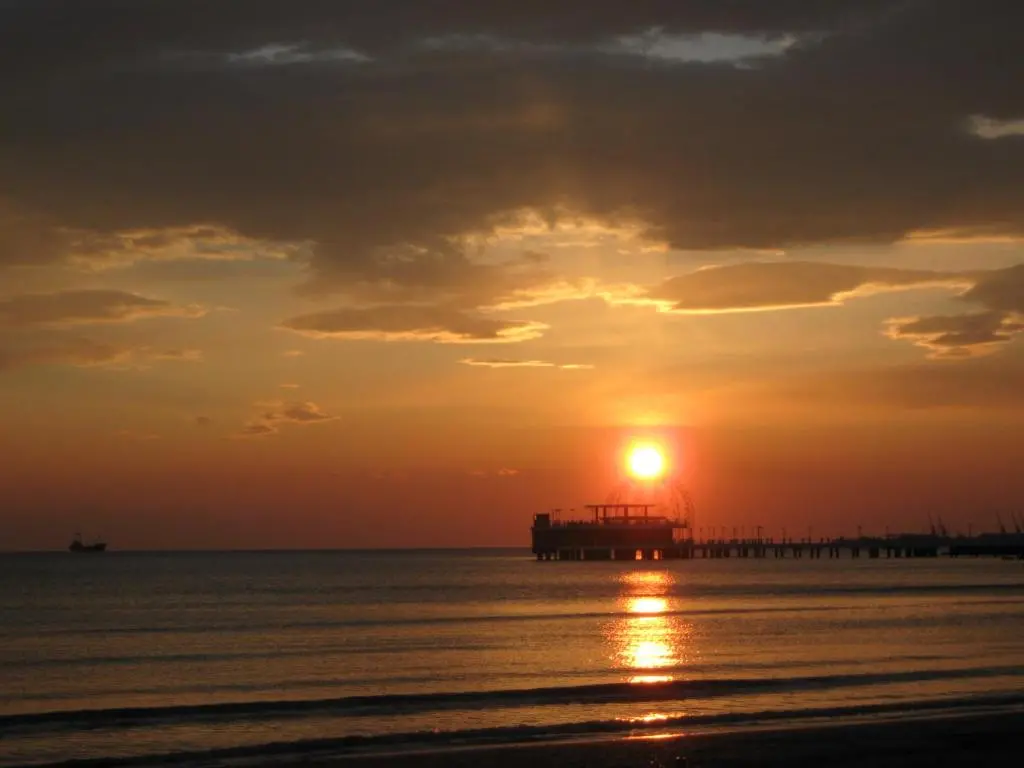 img_id_1698382.webp