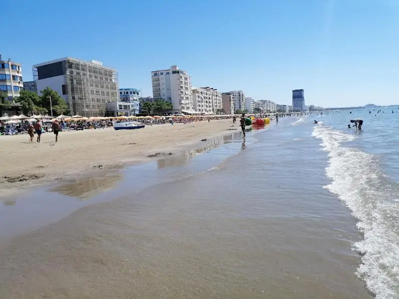 img_id_1710228.webp