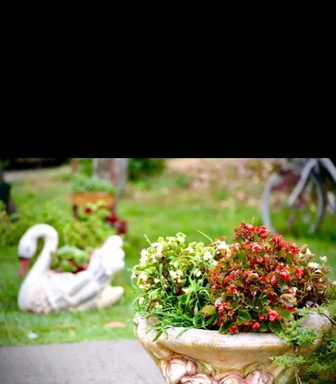 img_id_2396098.webp