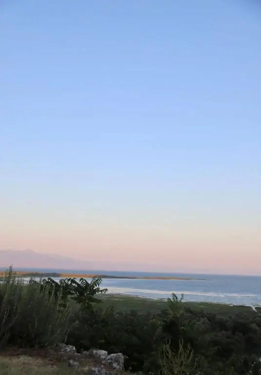 img_id_2395053.webp