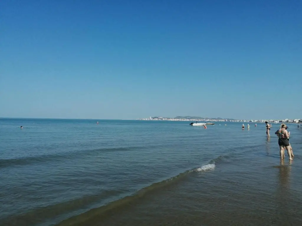 img_id_1671524.webp